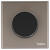 Купить Умный терморегулятор CALEO С938 grey  5497552. Характеристики, отзывы и цены в Донецке