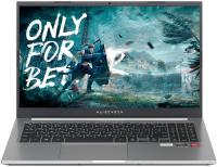Купить 15.6" Ноутбук MAIBENBEN M575 серебристый  5483649. Характеристики, отзывы и цены в Донецке