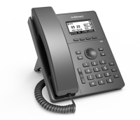 Купить Телефон VoIP Flyingvoice P10W серый  9088997. Характеристики, отзывы и цены в Донецке