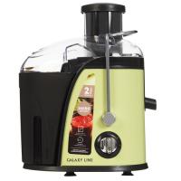 Купить Соковыжималка электрическая Galaxy Line GL 0815 зеленый  9221582. Характеристики, отзывы и цены в Донецке
