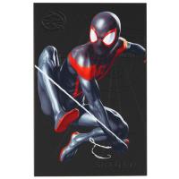 Купить 2 ТБ Внешний HDD Seagate FireCuda Miles Morales Special Edition [STKL2000419]  5491116. Характеристики, отзывы и цены в Донецке