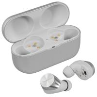 Купить Наушники TWS Technics EAH-AZ60M2 серебристый  5487902. Характеристики, отзывы и цены в Донецке