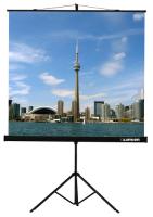 Купить 89" Экран для проектора Lumien Eco View LEV-100105  6717013. Характеристики, отзывы и цены в Донецке