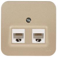 Купить Розетка компьютерная SE Blanca накладная [механизм, 2-ая, RJ45, кат. 5Е, Титан] (BLNIA045454)  4708638. Характеристики, отзывы и цены в Донецке