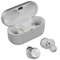 Купить Наушники TWS Technics EAH-AZ80G серебристый  5487909. Характеристики, отзывы и цены в Донецке