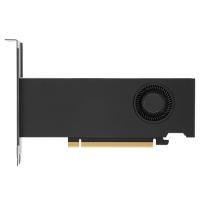 Купить Видеокарта PNY RTX 2000 Ada Generation [VCNRTX2000ADA-PB]  5478321. Характеристики, отзывы и цены в Донецке