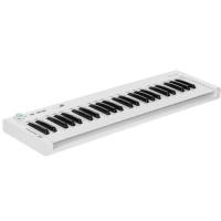 Купить Клавиатура MIDI Axelvox KEY49j  1606257. Характеристики, отзывы и цены в Донецке