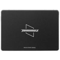 Купить 1000 ГБ 2.5" SATA накопитель Tammuz GK300 [TGK301TBA58]  4764705. Характеристики, отзывы и цены в Донецке