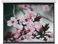 Купить 100" Экран для проектора Digis DSEF-4303  1626389. Характеристики, отзывы и цены в Донецке