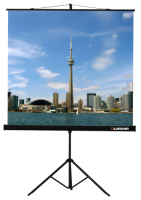 Купить 81" Экран для проектора Lumien Eco View LEV-100110  1677182. Характеристики, отзывы и цены в Донецке