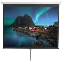 Купить 120" Экран для проектора Digis Optimal-D DSOD-4304  1626407. Характеристики, отзывы и цены в Донецке