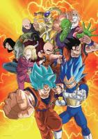 Купить Пазл The Noble Collection Dragon Ball Super Universe 7 Warriors  9143002. Характеристики, отзывы и цены в Донецке