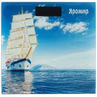 Купить Весы Яромир ЯР-4203 разноцветный  8160534. Характеристики, отзывы и цены в Донецке