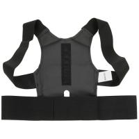 Купить Корректор осанки ZENET ZET-601 XL черный  9087678. Характеристики, отзывы и цены в Донецке