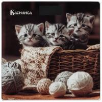 Купить Весы Василиса ВА-4016 разноцветный  9908392. Характеристики, отзывы и цены в Донецке