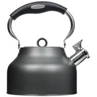 Купить Чайник для плиты Regent inox TEA 93-TEA-49 серый  5464013. Характеристики, отзывы и цены в Донецке