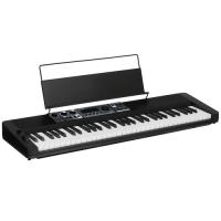 Купить Синтезатор Casio Casiotone CT-S500  5436915. Характеристики, отзывы и цены в Донецке