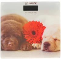 Купить Весы HOTTEK HT-962-016 разноцветный  8161217. Характеристики, отзывы и цены в Донецке