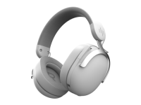 Купить Беспроводные наушники Дарк Проджект HS5 Wireless V2 белый 2024  5479178. Характеристики, отзывы и цены в Донецке