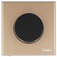 Купить Терморегулятор CALEO С938 gold  5497554. Характеристики, отзывы и цены в Донецке