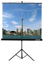 Купить 111" Экран для проектора Lumien Eco View LEV-100103  6717015. Характеристики, отзывы и цены в Донецке