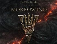 Купить Игра The Elder Scrolls Online (Steam)  5644065. Характеристики, отзывы и цены в Донецке