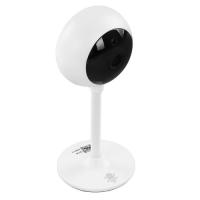 Купить IP-камера SLS CAM1  9135842. Характеристики, отзывы и цены в Донецке