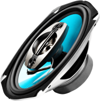 Купить Коаксиальная акустическая система УРАЛ БИРЮЗА АС-Б6947  9198569. Характеристики, отзывы и цены в Донецке