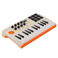 Купить Клавиатура MIDI Rockdale Element  5474437. Характеристики, отзывы и цены в Донецке