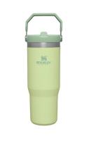 Купить Термокружка Stanley IceFlow Flip Straw Tumbler 10-09993-197 зеленый  9232479. Характеристики, отзывы и цены в Донецке