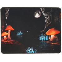 Купить Коврик JETACCESS PANTEON GP-97SS THE DREAM (S) разноцветный  5309615. Характеристики, отзывы и цены в Донецке