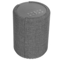 Купить Портативная колонка Audio Pro A10, серый  4821859. Характеристики, отзывы и цены в Донецке