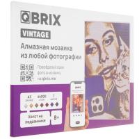 Купить Фото конструктор MOZABRICK / мозаика из фото (Алмазная)."Qbrix VINTAGE А3 на подрамнике" [40008]  5091517. Характеристики, отзывы и цены в Донецке