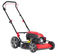 Купить Газонокосилка бензиновая EVOline LMG 51 P  9115685. Характеристики, отзывы и цены в Донецке