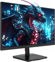 Купить 24.5" Монитор Titan Army P2510H черный  5630040. Характеристики, отзывы и цены в Донецке