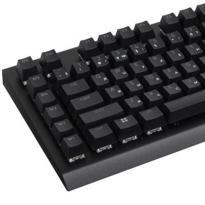 Купить Клавиатура проводная Razer BlackWidow V4 X [RZ03-04700800-R3R1]  5421546. Характеристики, отзывы и цены в Донецке